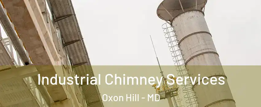  Industrial Chimney Services Oxon Hill - MD